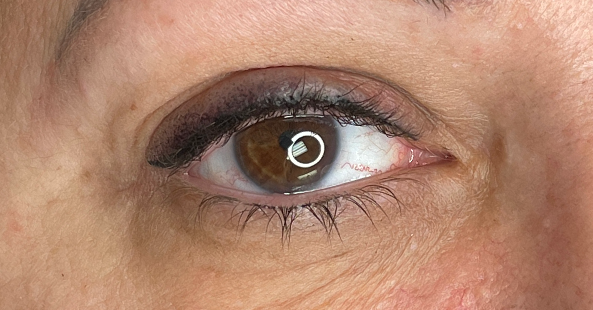 brown eye with eye shadow